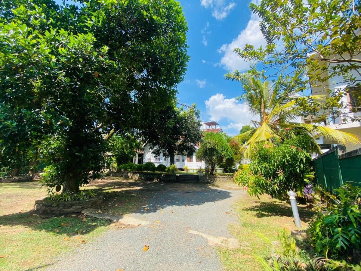 Colonial Bungalow Тангалле Екстер'єр фото